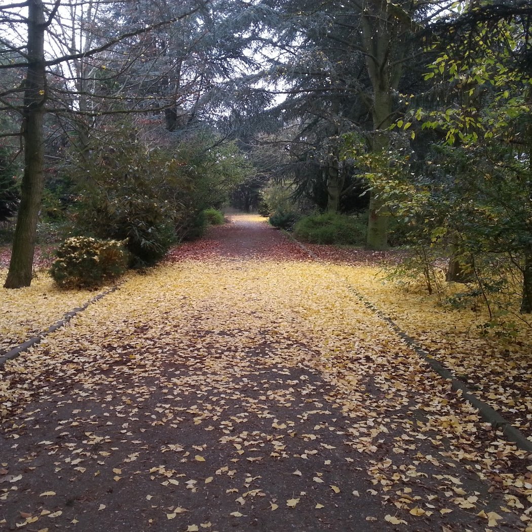 Aire de jeux du Parc des Lilas 3